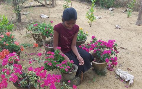 A girl is squatting and looking after her pot flowers. The blossoming flowers are purple, orange and yellow.