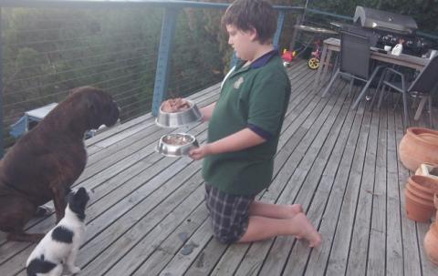 Feeding our pets